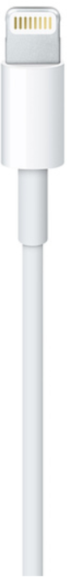 Apple Lightning to USB Cable - 1M