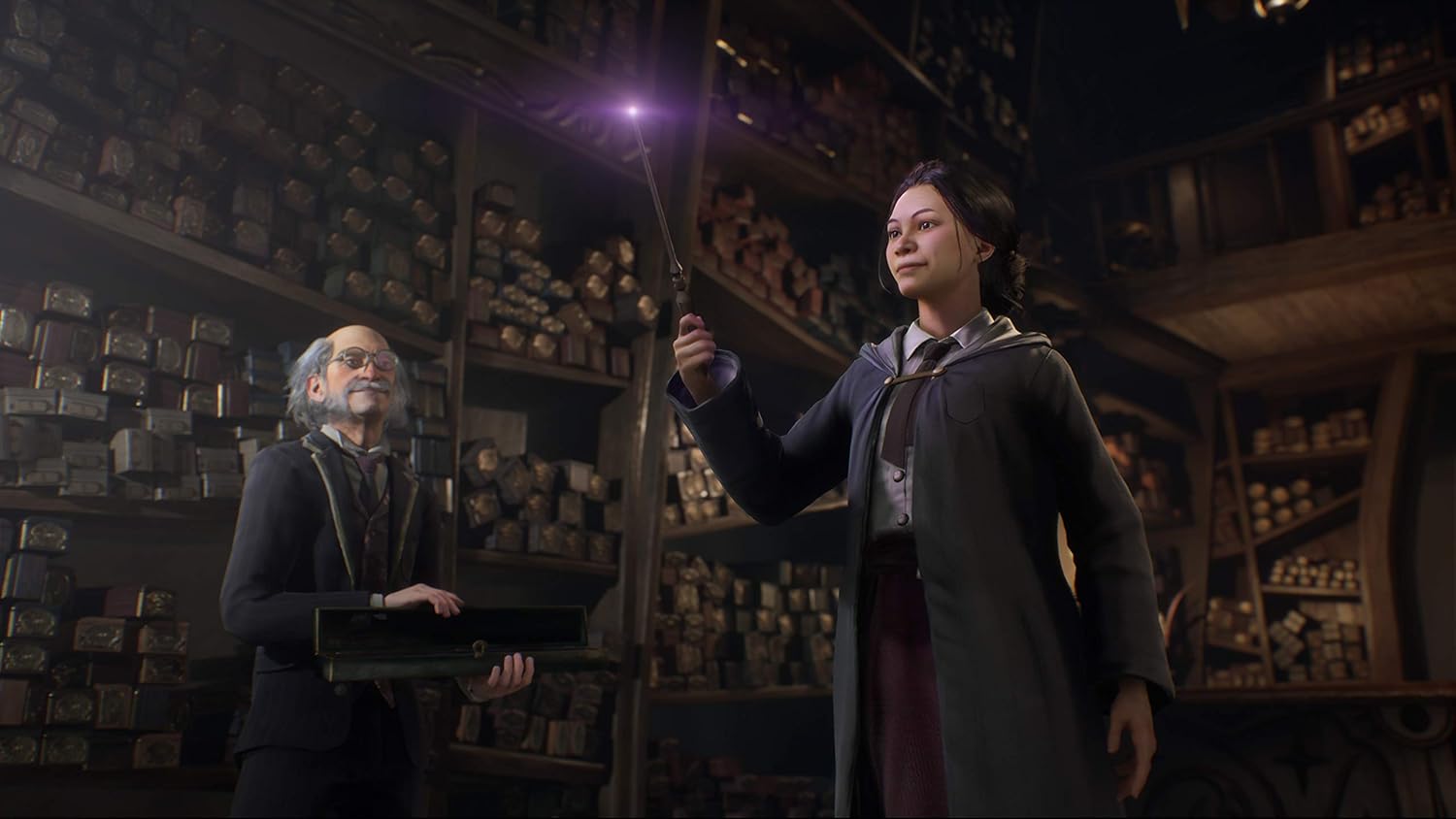 Warner Bros Hogwarts Legacy PAL PS4 Video Game