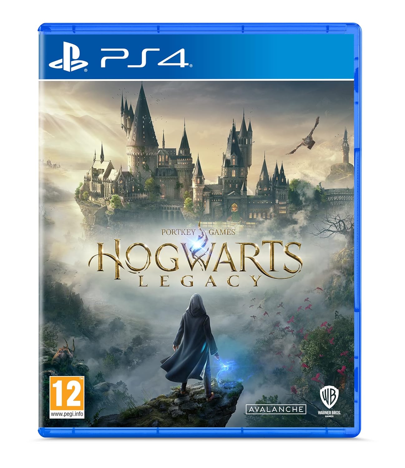 Warner Bros Hogwarts Legacy PAL PS4 Video Game