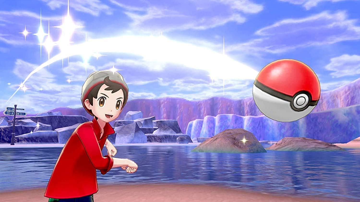 Nintendo Switch Pokemon Sword