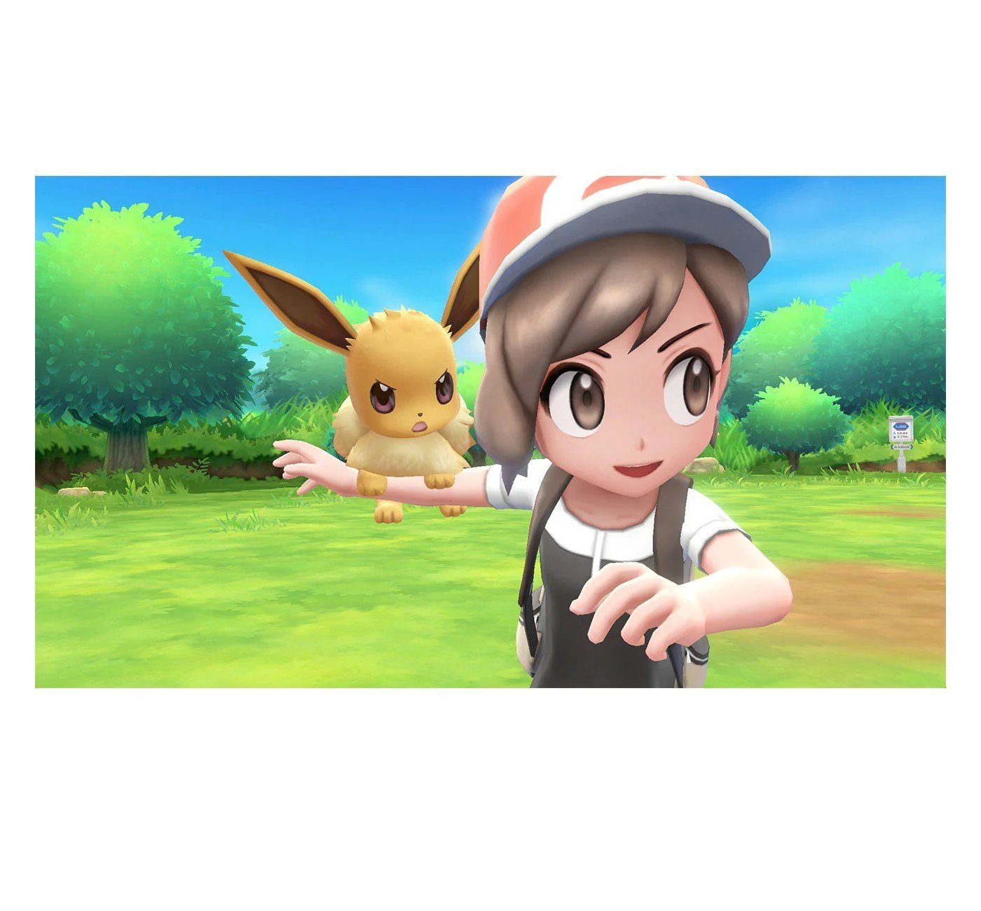 Nintendo Switch Pokemon Lets Go Eevee!