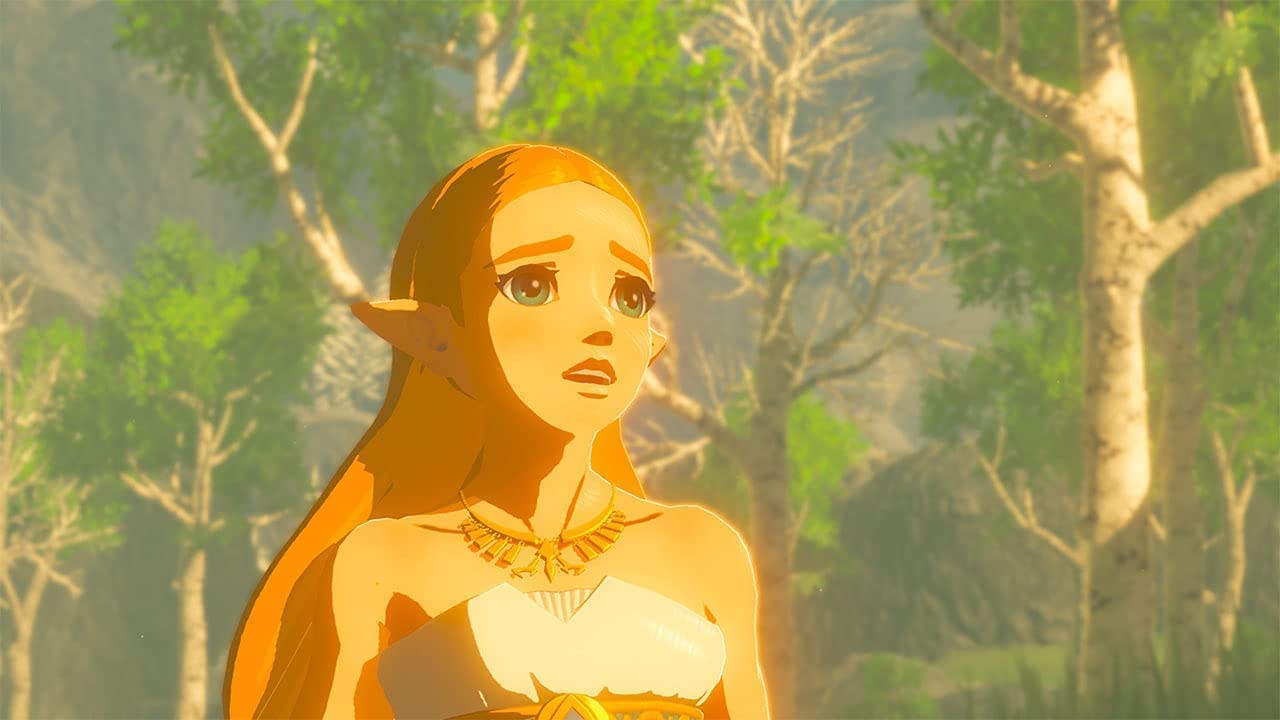 Nintendo Switch The Legend of Zelda Breath of the Wild