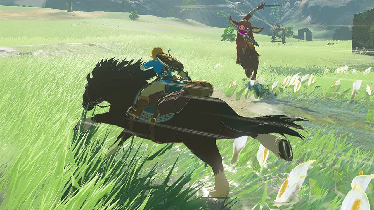 Nintendo Switch The Legend of Zelda Breath of the Wild