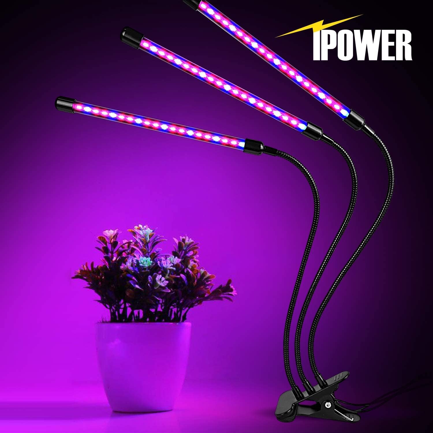 iPower 60 LED Grow Light with Full Spectrum for Indoor Plants, 3 Light Modes