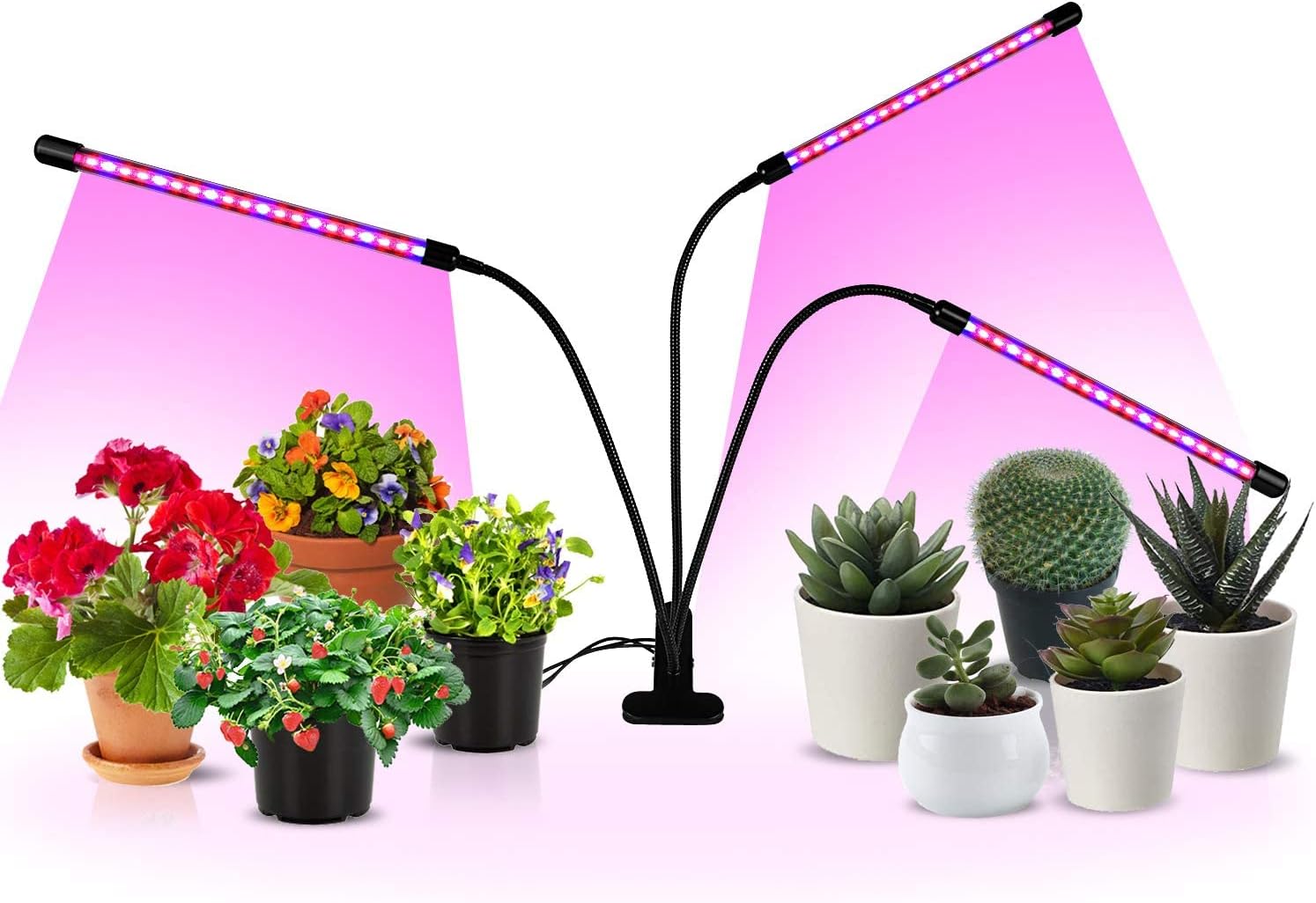 iPower 60 LED Grow Light with Full Spectrum for Indoor Plants, 3 Light Modes