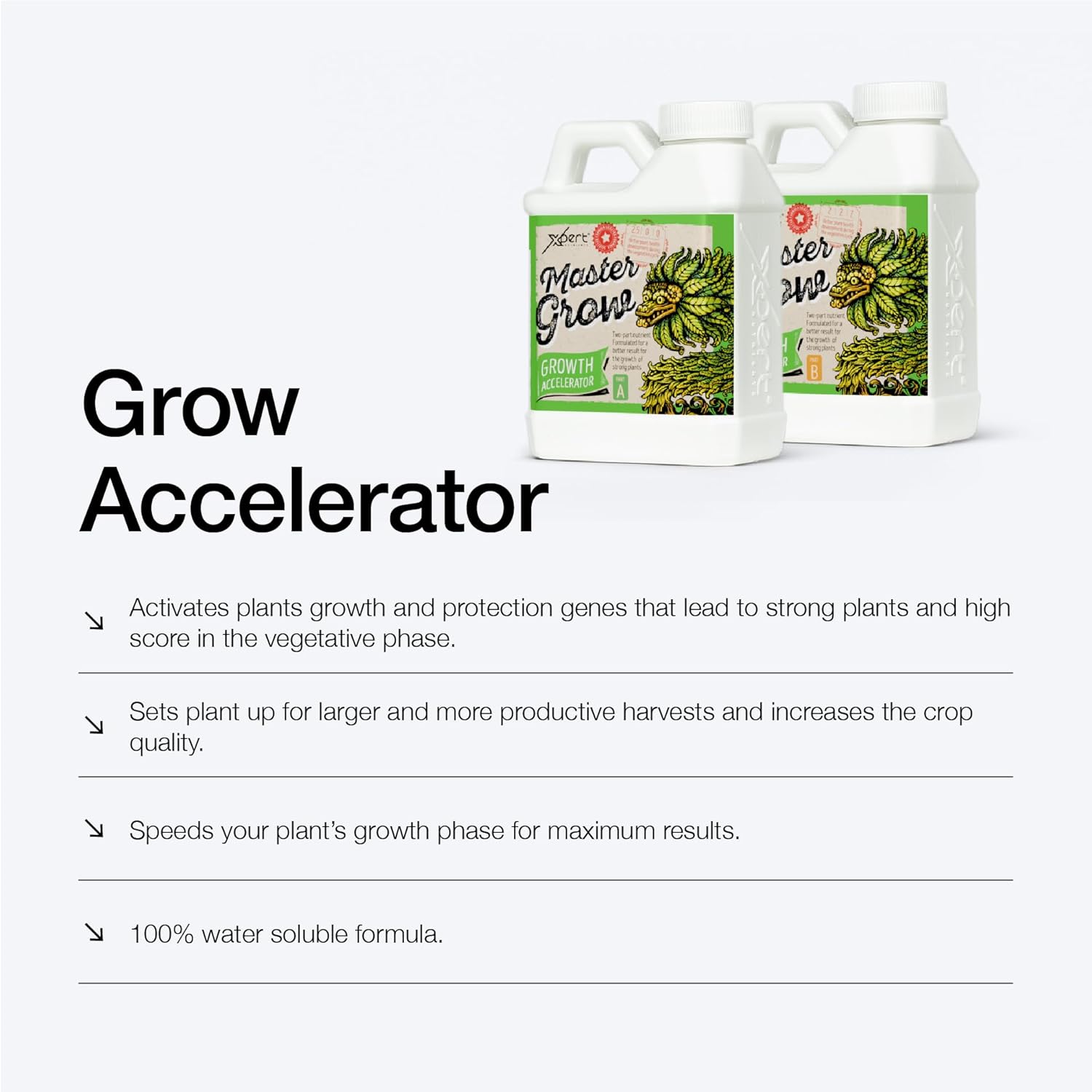 Basic Growth Fertilizer Xpert Nutrients Master Grow A+B (1L)