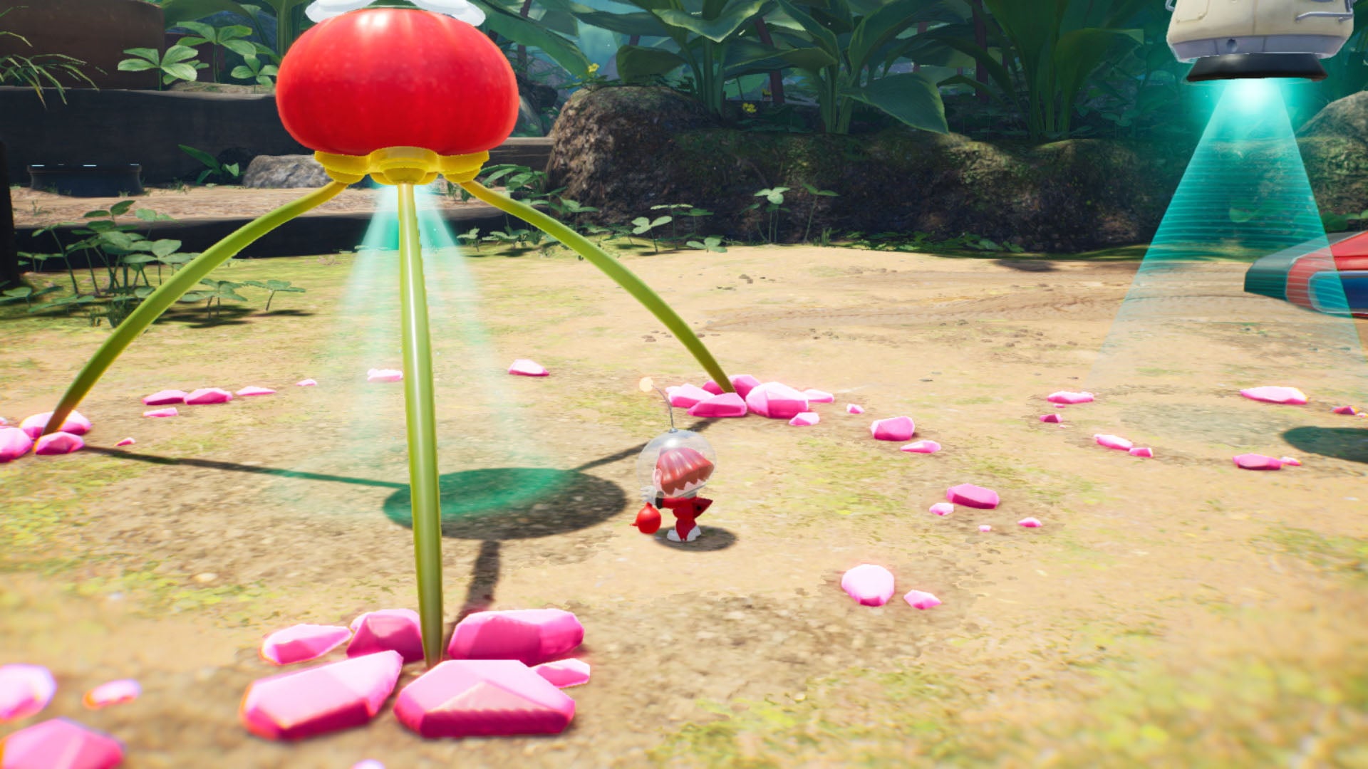 Nintendo SW Pikmin 4 R1 Video Game