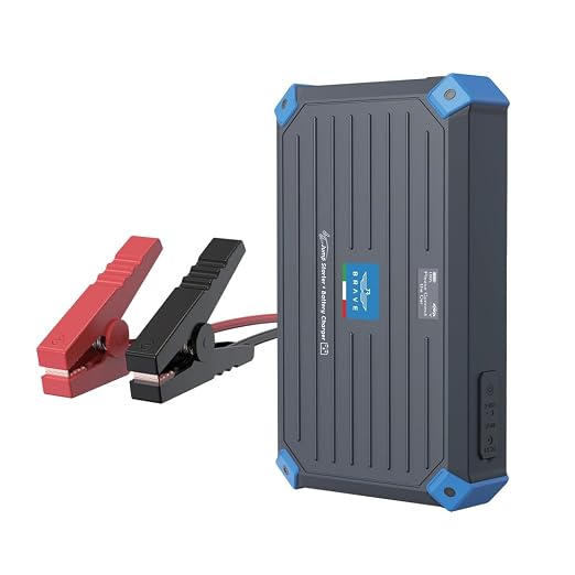 Brave 2-in-1 Super Capacitor Car Jump Starter 12V, 1000A Peak Emergency Booster - Black