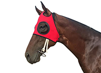 Horse Supplies and Equestrian Apparel Store