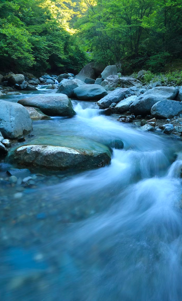 River Fowey, Golitha Falls, Cornwall