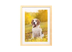 Photo Frames & Paintings