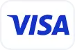 Visa payment