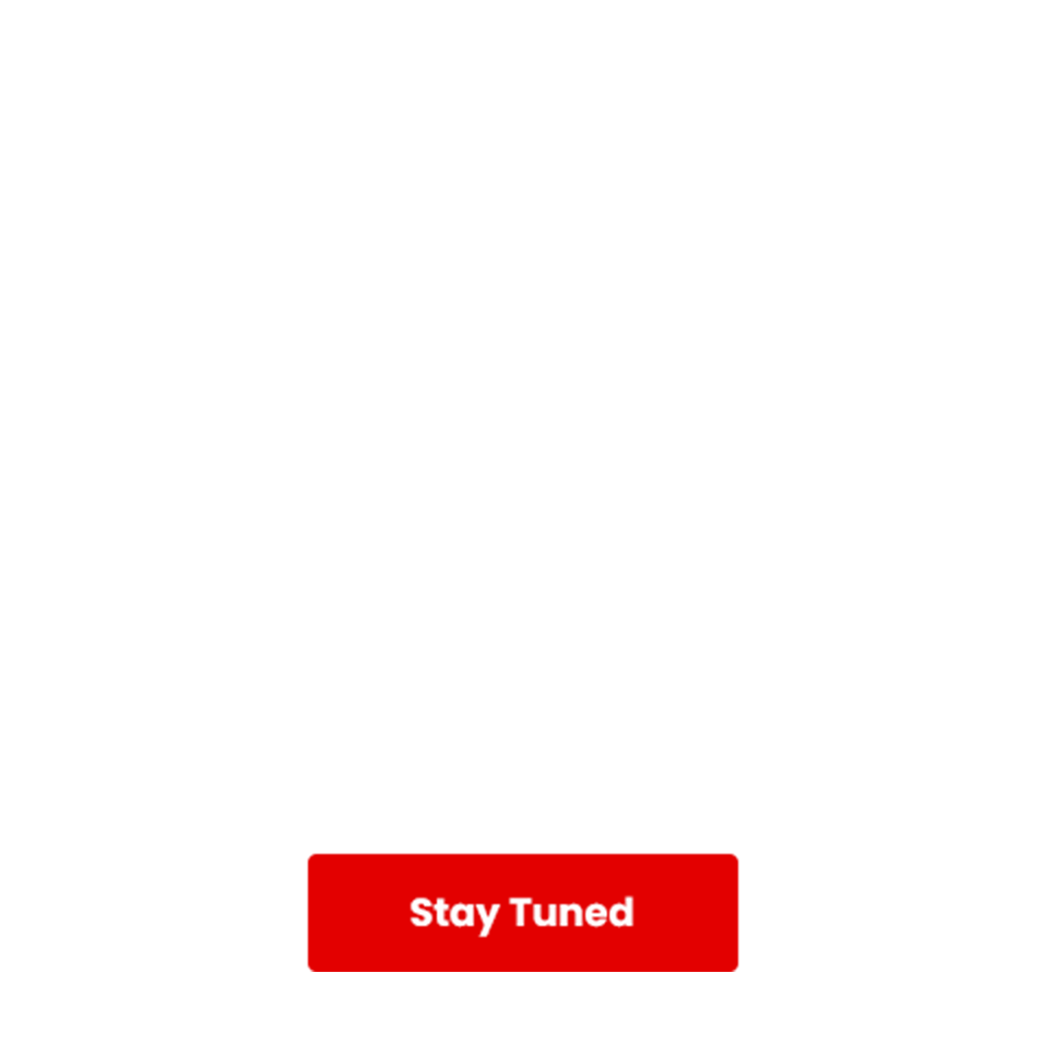 Christmas Day Deal 2025