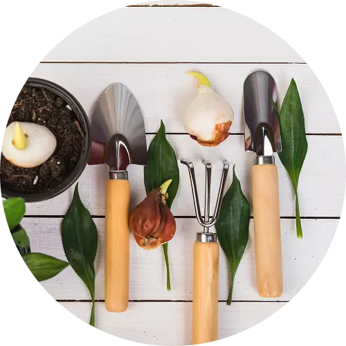 buy garden and outdoor products